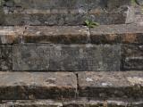 image of grave number 410640